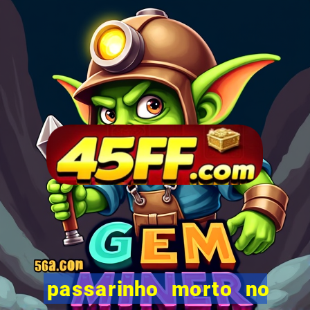 passarinho morto no quintal significado espiritual